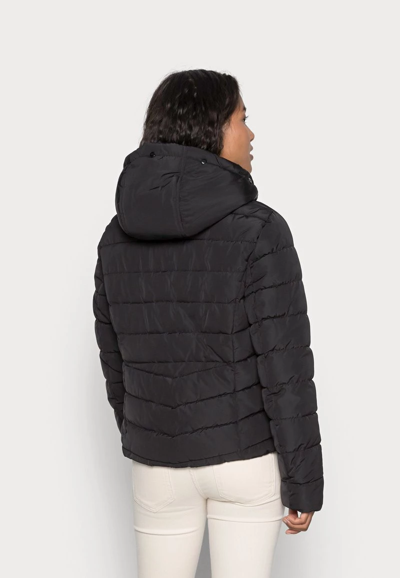 Rabatt ✔️ ONLY Petite Damen ONLNEWELLAN QUILTED HOOD - Winterjacke - Black 👏 – Bild 4